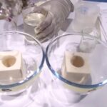 How to Demonstrate Osmosis in Living Tissues (Kenya)