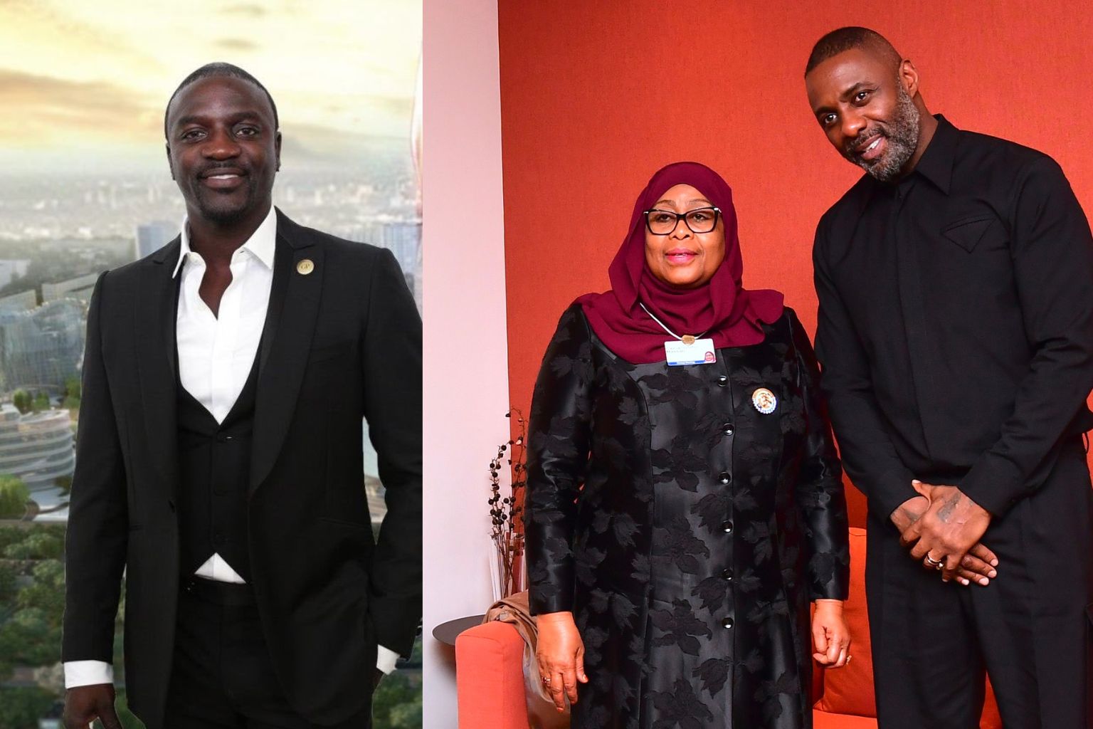 Akon and Idris Elba, Two Celebrities Given Land in Africa