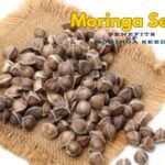 Surprising Sexual Benefits Of Moringa Seeds To Know Today