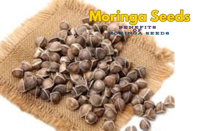 Surprising Sexual Benefits Of Moringa Seeds To Know Today