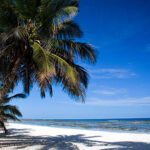 Why You Should Try Hiking in Kenya This Holiday