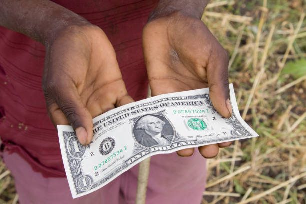 Reasons Why Dollar to Shilling Currency May Fluctuate