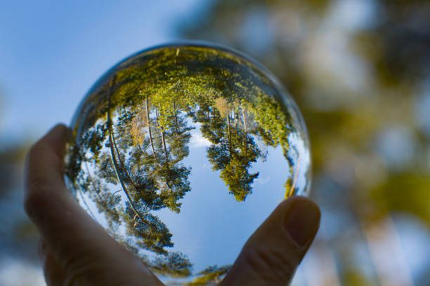 The Importance of Biodiversity and Conservation Efforts