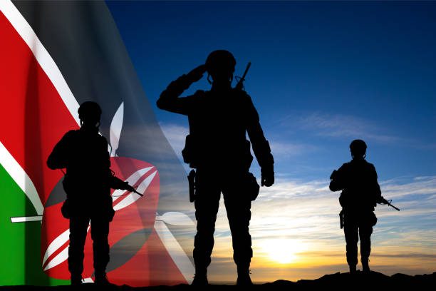 A Brief Summary on The Armed Forces of Kenya