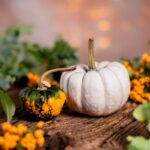 Approved Health Benefits of Eating “Misheveve” Pumpkin Leaves