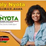 Quick Steps to Apply Nyota Fund in Kenya 2026(With Example)