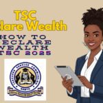 How to Declare Wealth TSC Online Guide (Proven 2026)