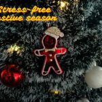 How to Stay Stress-Free This Festive Season 2025