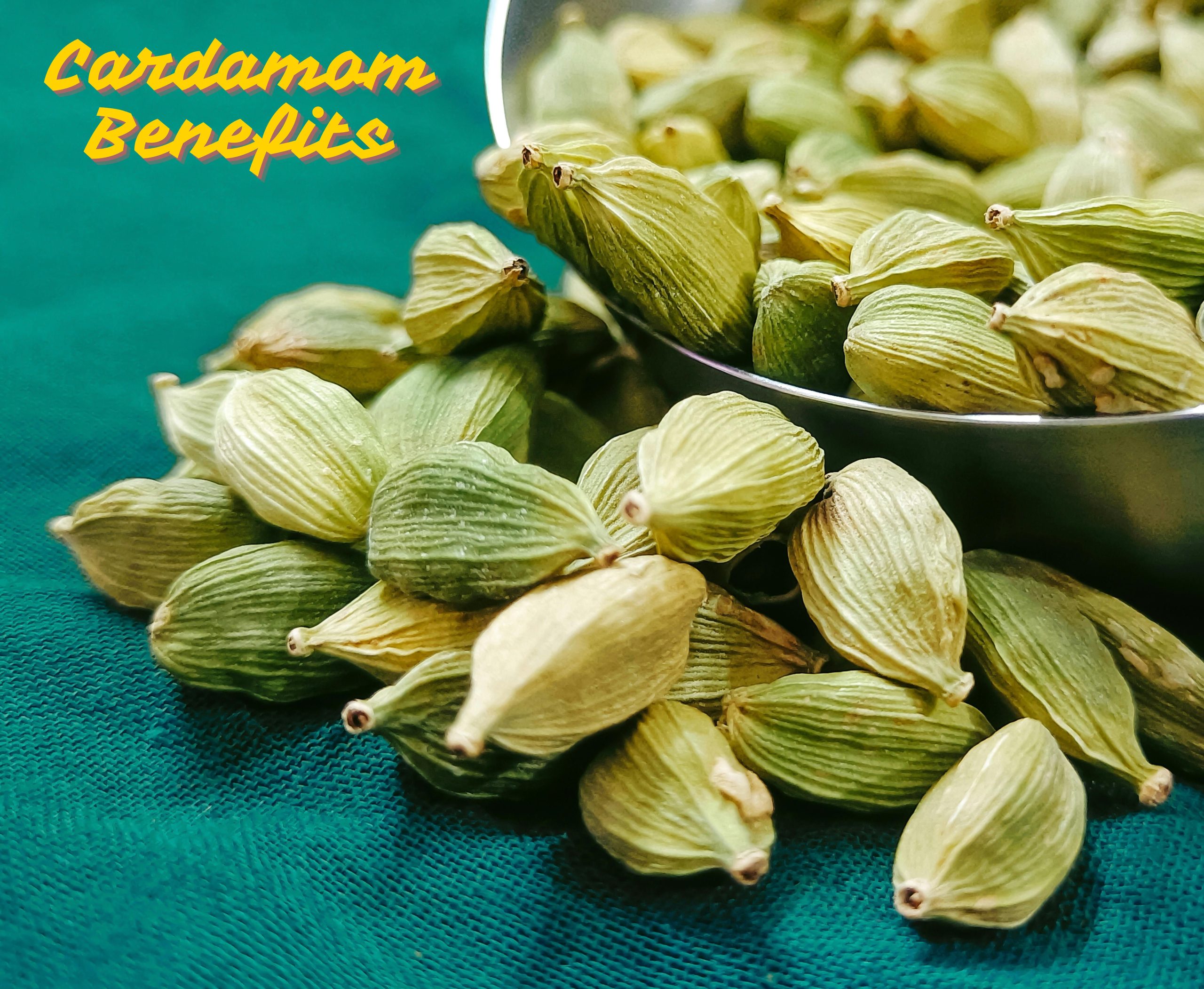 Top Cardamom Benefits, Nutritional Value and Uses