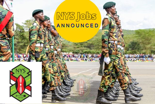 Apply NYS Jobs 2026 Announced 700+ Vacancies & Requirements